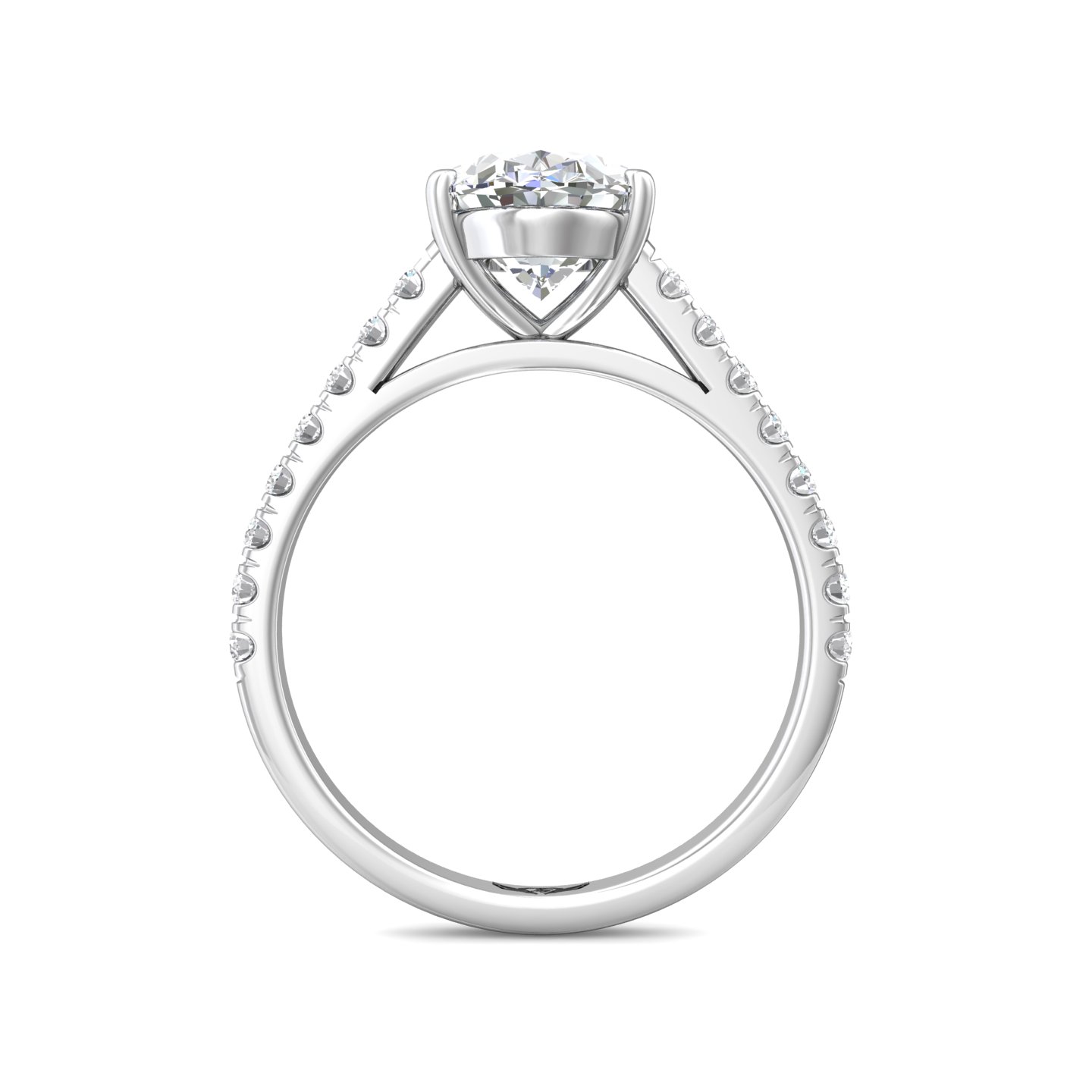 DERM18M – Martin Flyer